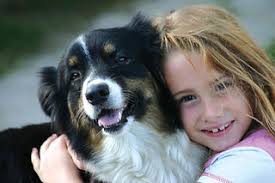 Guardian's Best Animal Rescue Foundation