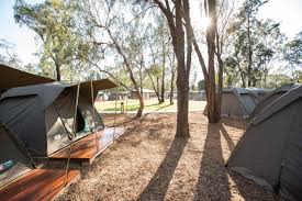 Which hotels near the zoo in dubbo are great to stay in? Billabong Camp Taronga Western Plains Zoo Hines Constructions Bathurst Central West Nsw