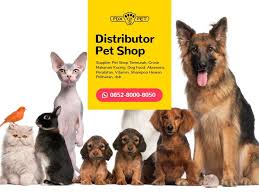 Wa 0852 8000 8050 Grosir Hemat Petshop Supplier Cat Food Makanan Anjing Anjing Perlengkapan Anjing