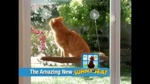 Sunny Seat Cama Asilan Kedi Yatagi Youtube