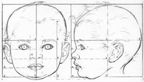 The proportion of the face in younger adults using the thumb rule of leonardo da vinci. How To Draw Baby And Toddlers Heads In The Correct Proportions Drawing Babies How To Draw Step By Step Drawing Tutorials