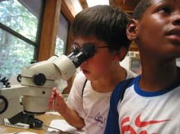 Notes from Nature Camp, Inc.