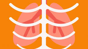Subscribe for free and begin conversations about the dangers of smoking with your children early so that they know how to. Bone Metastasis In Nsclc Everyday Health