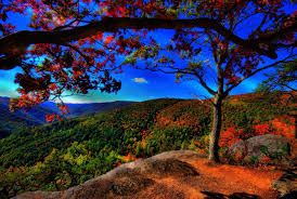 All orders are custom made and most ship worldwide within 24 hours. Mother Nature In All Its Glory Izismile 3900x2613 Wallpaper Teahub Io