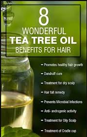 In fact, they are beneficial for your hair growth and protection of your hair, scalp and skin. Buy Aroma Treasures Tea Tree Oil 10ml Online At Low Prices In India Amazon In