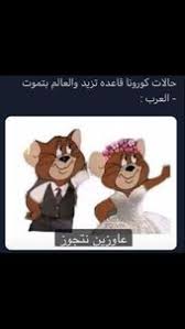 اكسبلور صور افتار افتارات رمزيات رمزيات بنات ستوريات سنابات صور بنات بنات اسئلة ستوري Funny Cartoon Memes Funny Photo Memes Funny Picture Jokes