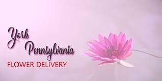 Lincolnway flower shop is a professional wedding florist in york, pennsylvania, that specializes in making your wedding amazing! The 6 Best Options For Flower Delivery In York Pennsylvania 2021