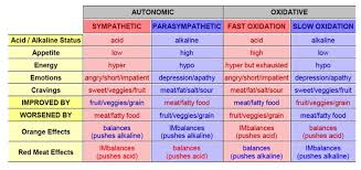 Parasympathetic And Sympathetic Chart