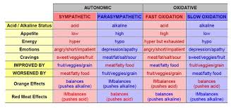 parasympathetic and sympathetic chart