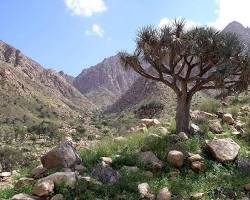 Image of منتزه جبل علبة في محافظة البحر الأحمر