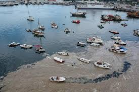 The sea snot hadn't been in the sea of marmara before 2007 and it's been increasing rapidly over the last six months. Wqpgl 73zlckbm
