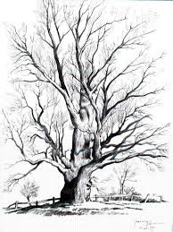 Artistic Black And White Tree Drawings Tree Drawings In Pencil Bing Images Tree Drawings Pencil Tree Drawing Tree Sketches
