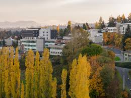 As well as the island itself, it is also a region which includes the gulf islands in the strait of georgia. Vancouver Island University Linkedin