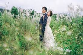 pin by julian app on 2 地景 wedding dresses dresses wedding