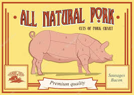 Pork Cuts Diagram Vector Illustration For Your Design