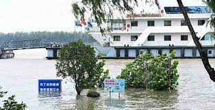 pin on ccp things happen