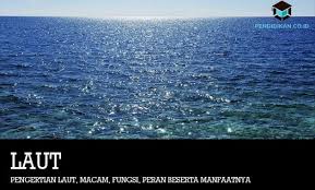 We did not find results for: Pengertian Laut Macam Fungsi Peran Beserta Manfaatnya