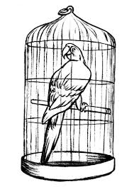 Feel free to explore, study and enjoy paintings with paintingvalley.com Bird In Bird Cage Cheaper Than Retail Price Buy Clothing Accessories And Lifestyle Products For Women Men