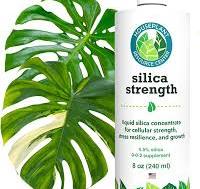 Amazon.com: Silica Strength Plant Supplement – Strengthens ...