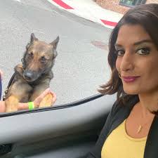 Hanging with the Top Dogs! NYPD's K9 Lindsay (PO Orlando) and K9 Dmo (PO  Lucca) are heading down to Louisiana to help with Hurricane Ida rescue  efforts…one word: Respect! #nypd #policek9s #k9units #