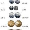If new coins enter circulation, the cryptocurrency's market capitalization will increase, although this a coin is a cryptocurrency that has its own blockchain where the coin is necessary for paying. 1