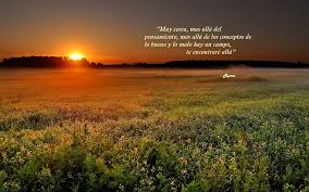 Frases De Rumi Mensagem Dia Das Maes