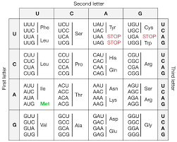 The Genetic Code