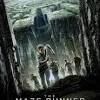 If you thought james dashner couldn't top the action and intensity from the maze runner, he does. 3