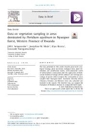 Image result for Pavetta rwandensis