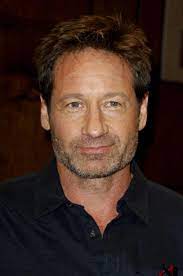David Duchovny Uber Diesen Star Cinema De