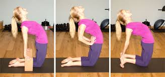 Ustrasana Benefits Everyone Should Know About 101yogastudio