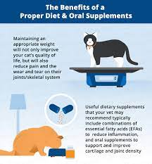 Arthritis In Cats Natural Remedies Canna Pet