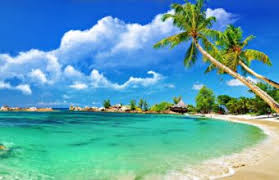 Sad or lonely young boy (9) sitting on a concrete wave. Beach Wallpapers Hd