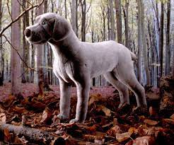 Avery Weimarener Weimaraner Small Stuffed Animals Animals