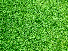 What Is Lawn Spray Painting Lawn Love
