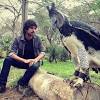 Ternyata ada seekor burung yang cirinya sama dengan burung garuda, yaitu elang jawa (spizaetus bartelsi). 1