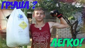 как сделать боксерскую грушу своими руками в домашних условиях Kak Sdelat Grushu V Domashnih Usloviyah Youtube