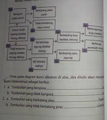 Contoh soal dan jawaban kunci determinasi. Data Pada Diagram Kunci Dikotom Di Atas Jika Ditulis Akan Menjadi Kunci Determinasi Sebagai Brainly Co Id