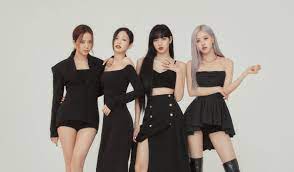 블링크) is blackpink's official fandom name. Blackpink Sdg Advocates