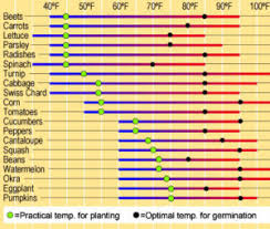 Direct Sowing In 5 Steps Wild Abundance