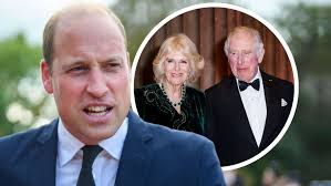 Prinz Harry berichtet von Streit zwischen William, Charles und Camilla