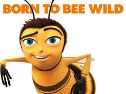 Bee Movie Know Your Meme