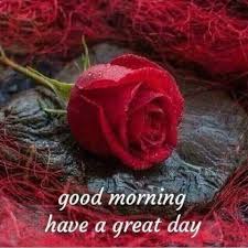 Pin By Gerrie On 1 Good Morning Good Morning Gift Good Morning Greetings Good Morning Quotes