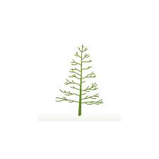 577 results for monkey puzzle. Monkey Puzzle Tree Araucaria Araucana For Sale