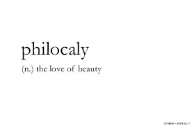 The Love Of Beauty Weird Words Aesthetic Words Unusual Words