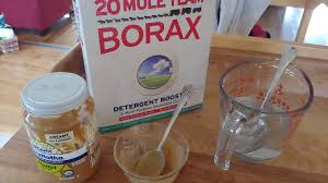 Borax based ant bait traps from maggie and terro has a really expected side effect. How To Make A Borax Ant Trap Homestead How To
