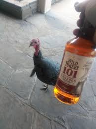 A Turkey Showed Up At My Liquor Store The Other Day R Mildlyinteresting Mildly Interesting Know Your Meme