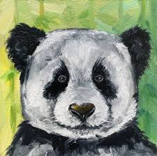Image result for Panda oleosa