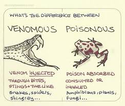 Venomous Poisonous What S The Difference Venomous Animals Inject Venom Through Bites Stings A Poisonous Animals Venomous Animals Content Marketing Tools