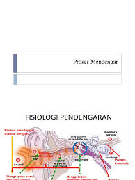 We did not find results for: Proses Mendengar